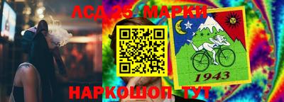 сатива Коммунар