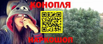 сатива Коммунар