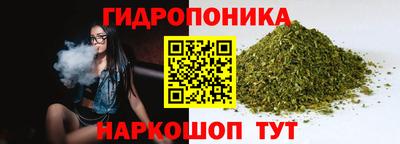 сатива Коммунар