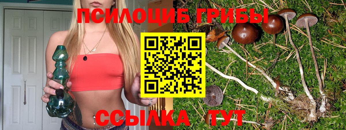Карпинск  Галлюциногенные грибы GOLDEN TEACHER  Вход с VPN 